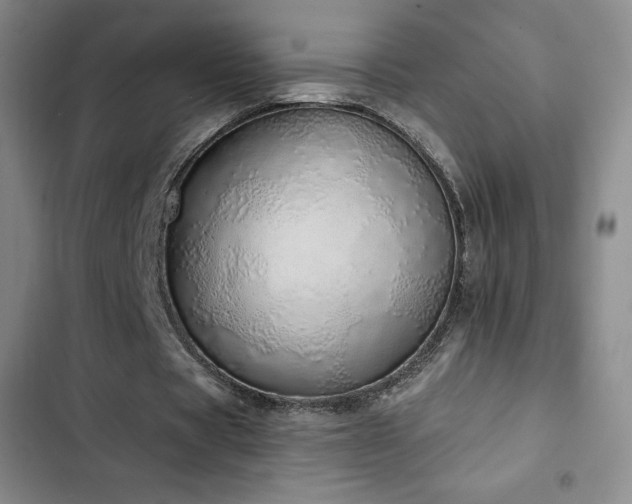 X0000103170529200808221237