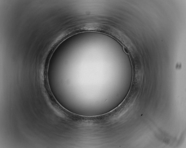 X0000103170530200808221237