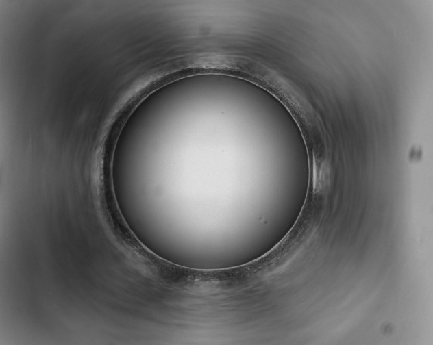 X0000103170531200808221237