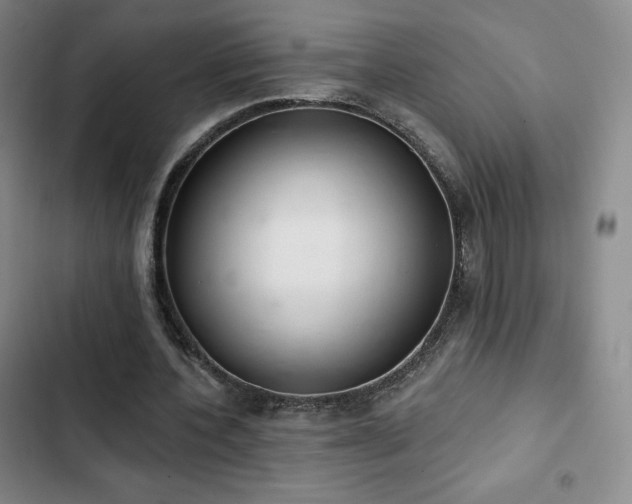 X0000103170532200808221237