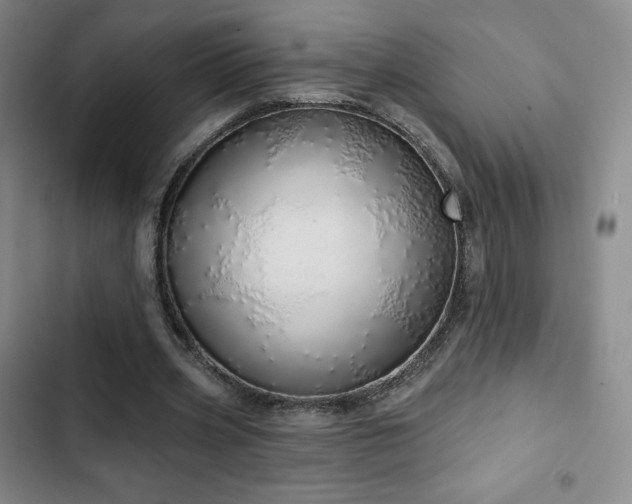 X0000103170533200808221237