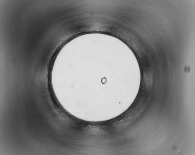 X0000103170534200808221237