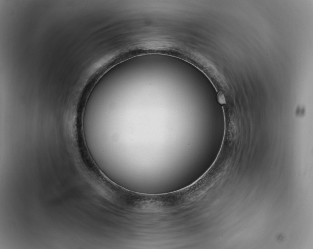 X0000103170535200808221237