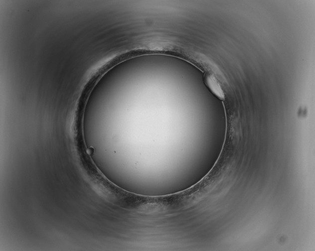 X0000103170536200808221237