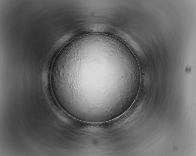 X0000103170537200808221237