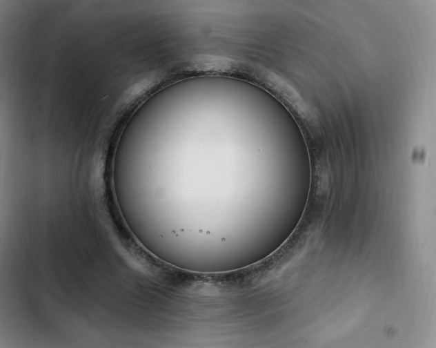 X0000103170538200808221237