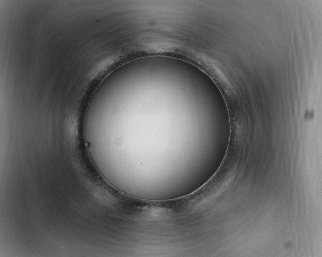 X0000103170539200808221237