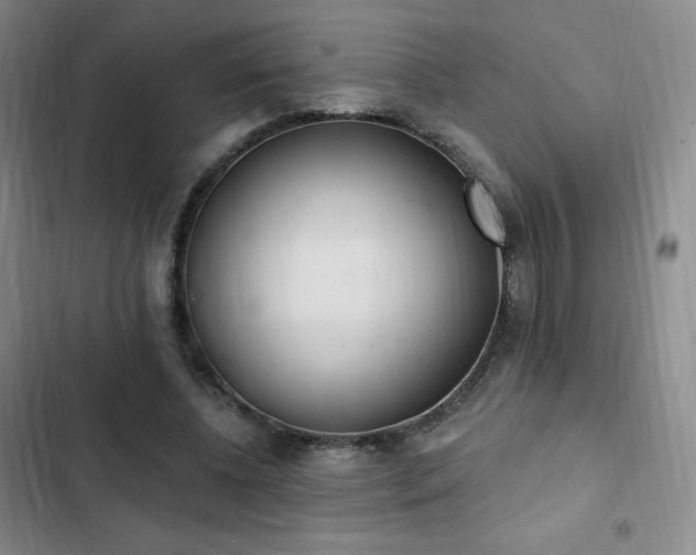 X0000103170540200808221237