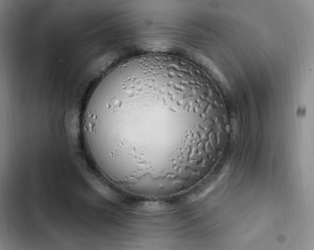 X0000103170541200808221237