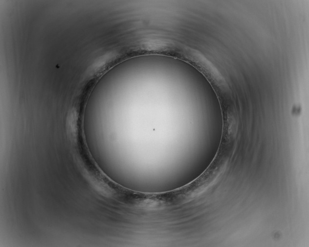 X0000103170542200808221237