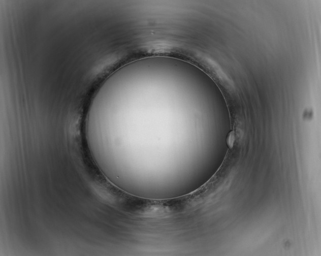 X0000103170543200808221237