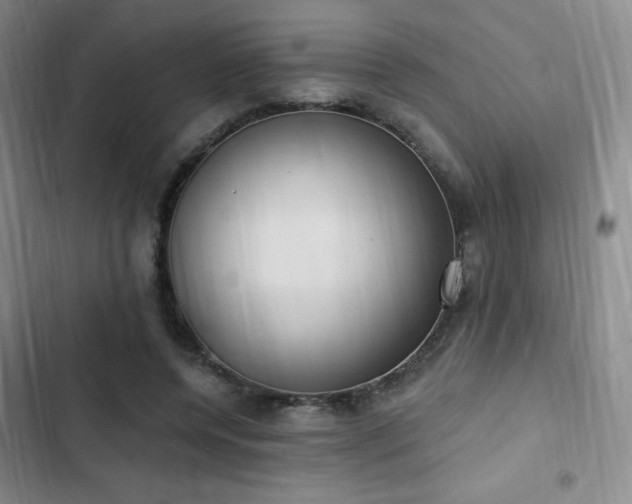 X0000103170544200808221237