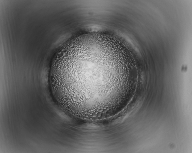 X0000103170545200808221237