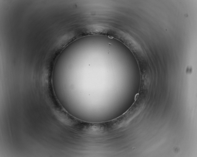 X0000103170546200808221237