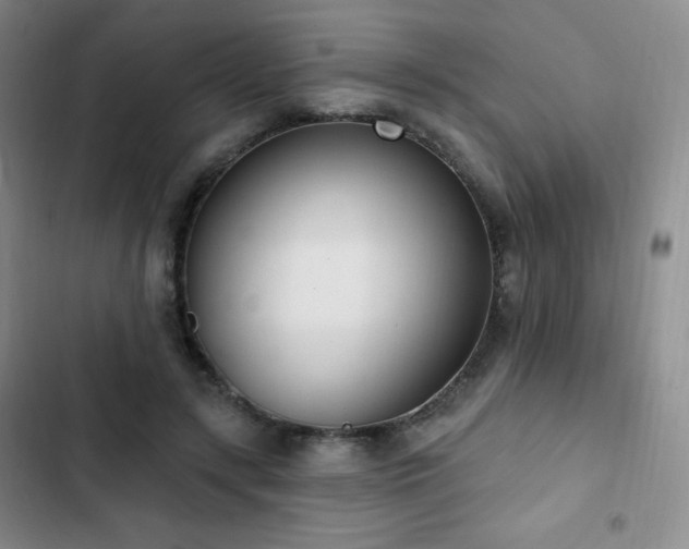 X0000103170547200808221237