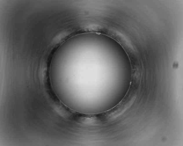 X0000103170548200808221237