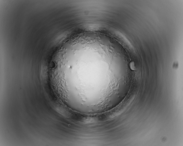 X0000103170549200808221237