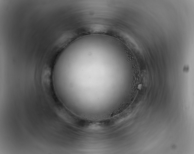 X0000103170550200808221237