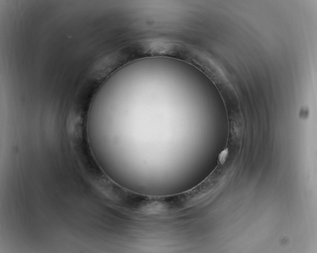 X0000103170551200808221237