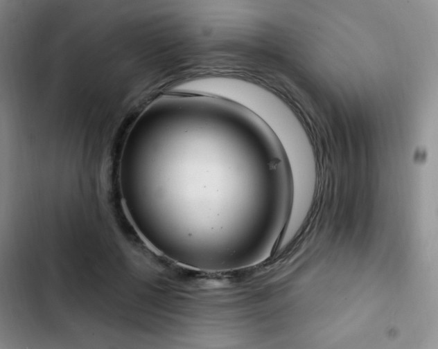 X0000103170552200808221237