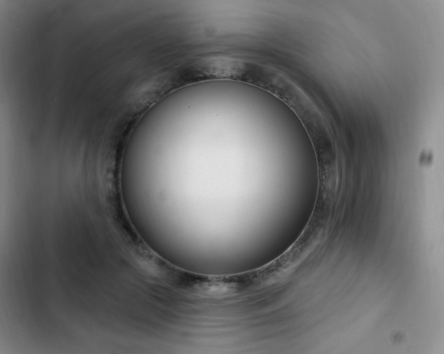 X0000103170553200808221237