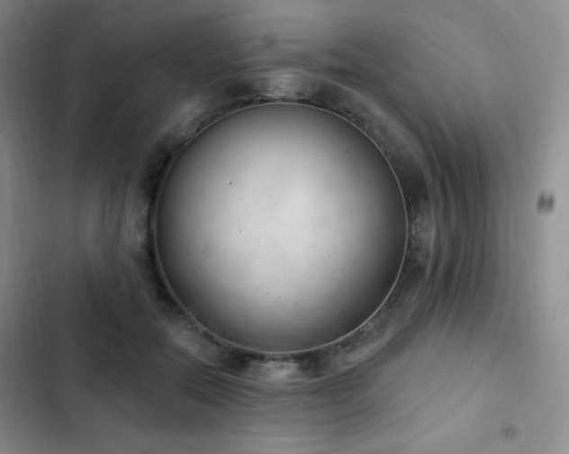 X0000103170554200808221237