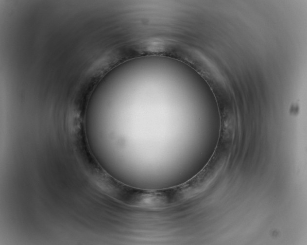 X0000103170555200808221237