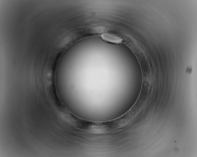 X0000103170556200808221237