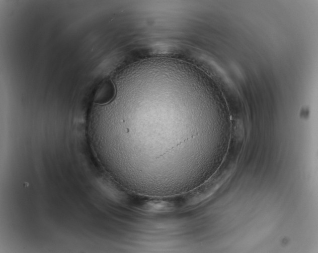 X0000103170557200808221237