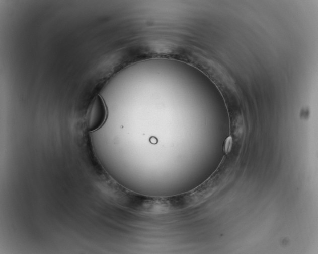 X0000103170559200808221237