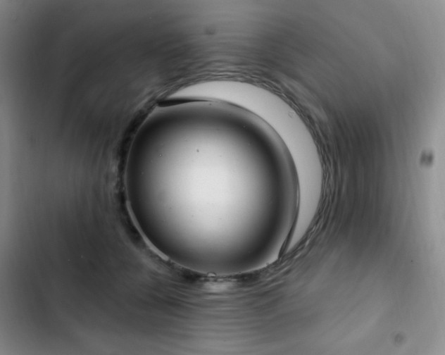 X0000103170560200808221237