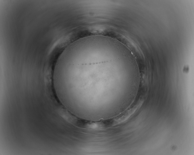 X0000103170561200808221237