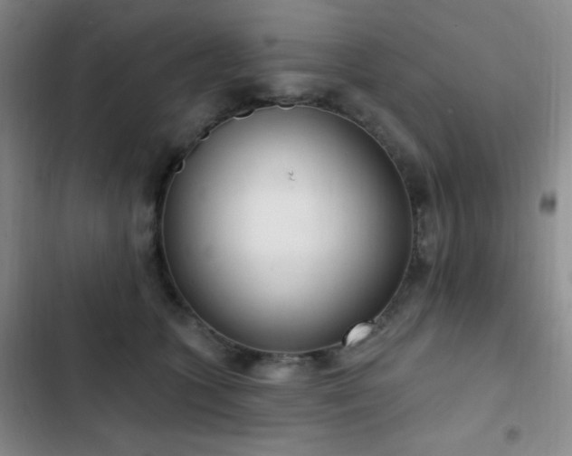 X0000103170563200808221237