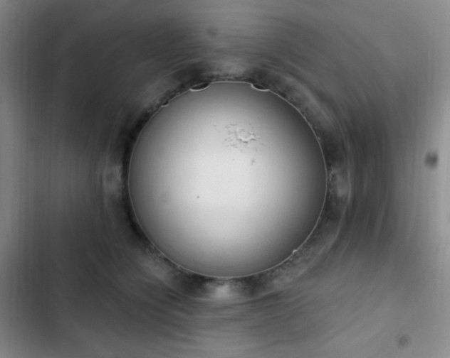 X0000103170564200808221237