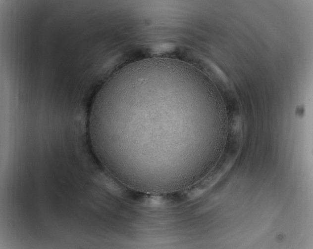 X0000103170565200808221237