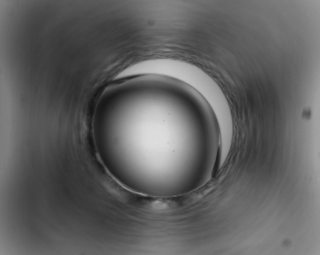 X0000103170566200808221237