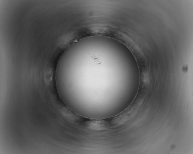 X0000103170567200808221237