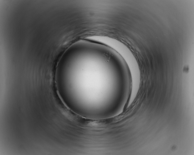 X0000103170568200808221237