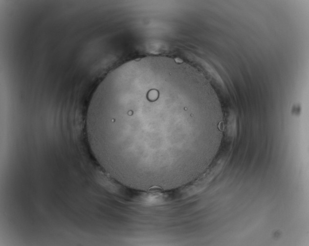 X0000103170569200808221237