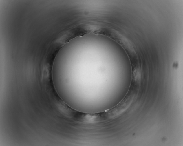 X0000103170570200808221237