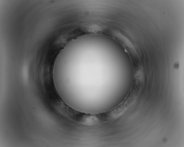 X0000103170572200808221237