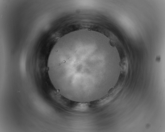 X0000103170573200808221237