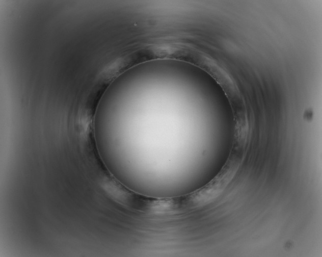 X0000103170574200808221237