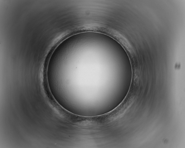 X0000103170578200808221237