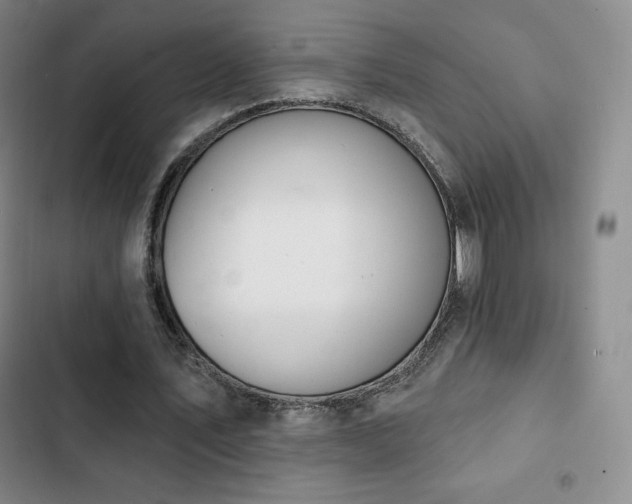 X0000103170579200808221237