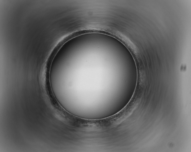 X0000103170580200808221237