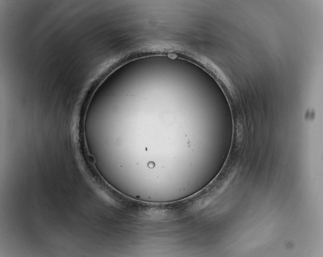 X0000103170581200808221237