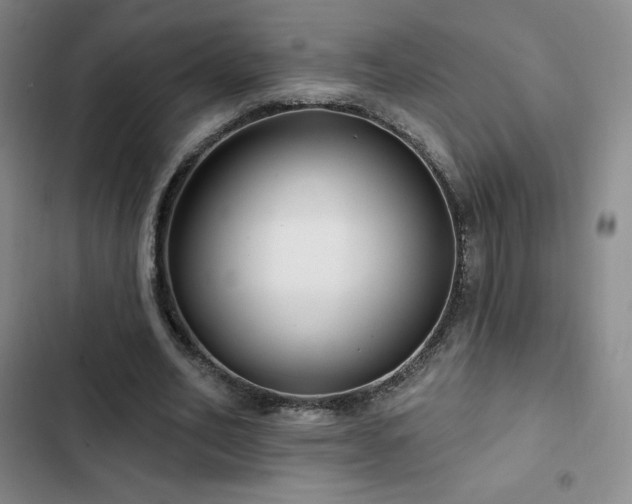 X0000103170582200808221237