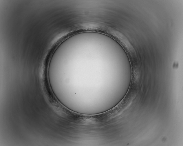 X0000103170583200808221237