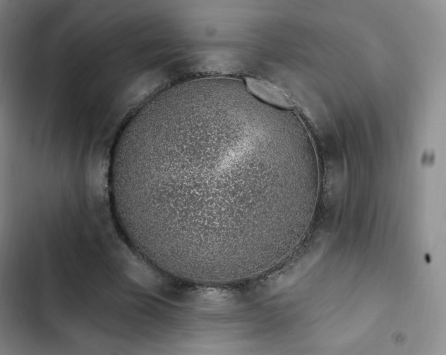 X0000103170585200808221237